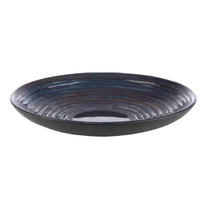 APS Loops Plate Blue 255x45mm - HY394