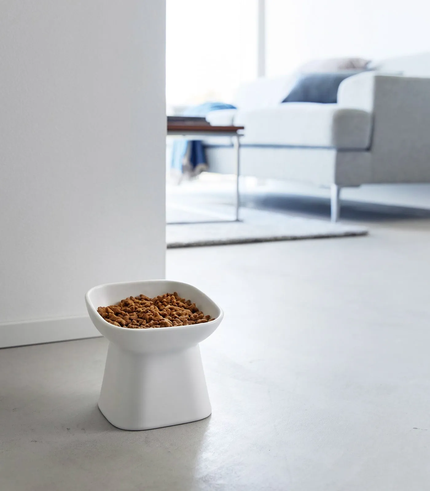 Tilted Pet Food Bowl