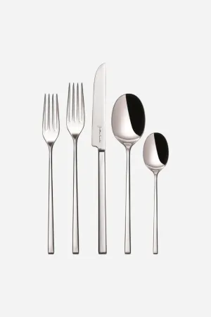 Vista Alegre Gualtiero Marchesi Stainless Steel 20-Piece Set in Modern Case